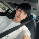 avatar Birkin Panthere