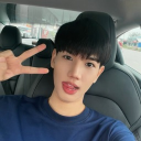 avatar Birkin Panthere