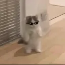 lalacryptolyfe