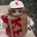 asian_b.oy