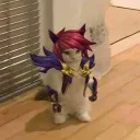 sett_852_86330 avatar