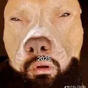 x77x244 avatar