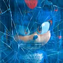 fr_sonic_and_shadow