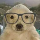 blatonadakkj