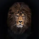 maazhaider09