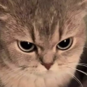 barrythecommie#8635's avatar