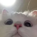 3o7j