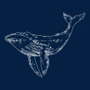 avatar 𝓡𝓪𝓲𝓷