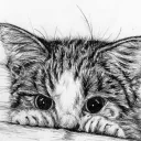 elabomax_86135 avatar