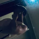 supersatorii