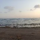 mazyar7_18846 avatar