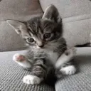 slumin.dev