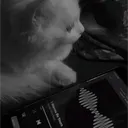 .luca_26
