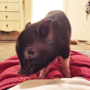 kkkkkkkkkkkkkk__kkkkk