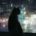 .xxxam