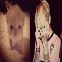 sun.sxy_14103 avatar