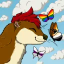 brownieotter