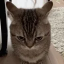lokwerr