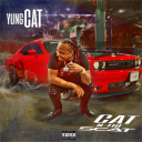 yungcatbgm20