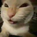 mrdimos2