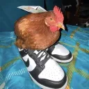 tallysson.77_19155 avatar