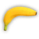 gustavo_00792