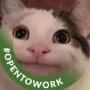 thegoodengineer