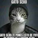 _sanson_1_12904 avatar