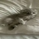 Аватар myrix123