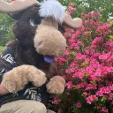 pupmoose