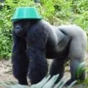 anda07490 avatar