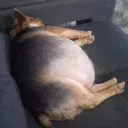 chopa5691