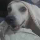 gabrielplays240mbs