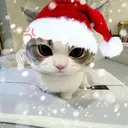 xikibam