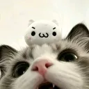 yuaxn.