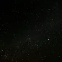 whale_goliath