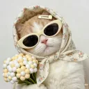 missmittensk
