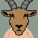 avanimals