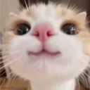 deolon