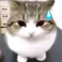 r1ck3uh