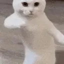 aladimfs
