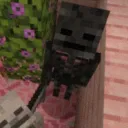 lansbwq avatar