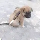 espantaviejas0482 avatar