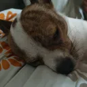 luluanayta123