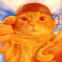 orangehcastle