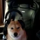 sammyy._notfound