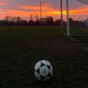 avatar SINTO FOR LIFE