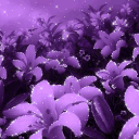 avatar 𝄃𝄃𝄂𝄂𝄀𝄁𝄃