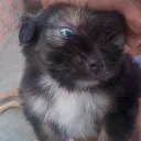 gonterito_xd avatar