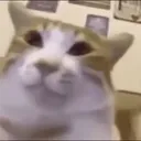 supacheeseman_13784